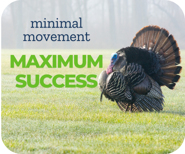 5 Essential Ways to Avoid Getting Busted by Turkeys This Season